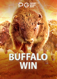 ประสบการณ์สนุกกับพนันออนไลน์ 88 ที่ต้องลองสักครั้ง